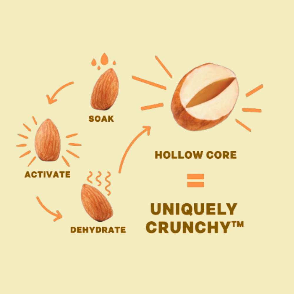 Daily Crunch - Wholesale Nuts - Turmeric + Sea Salt Sprouted Almonds, 1.5oz Single Serve5