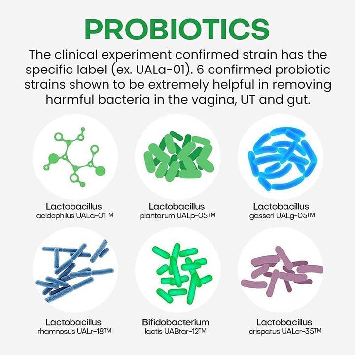 NutriCelebrity - Wholesale Oral Supplement/Vitamin - NutriFlora-Pro® (30 capsules) - Wholesale6