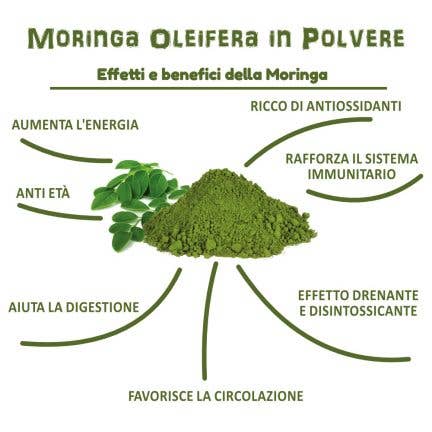 Cibobenessere – wholesale Protein-/superfoodpulver – ORGANISKT MORINGA PULVER