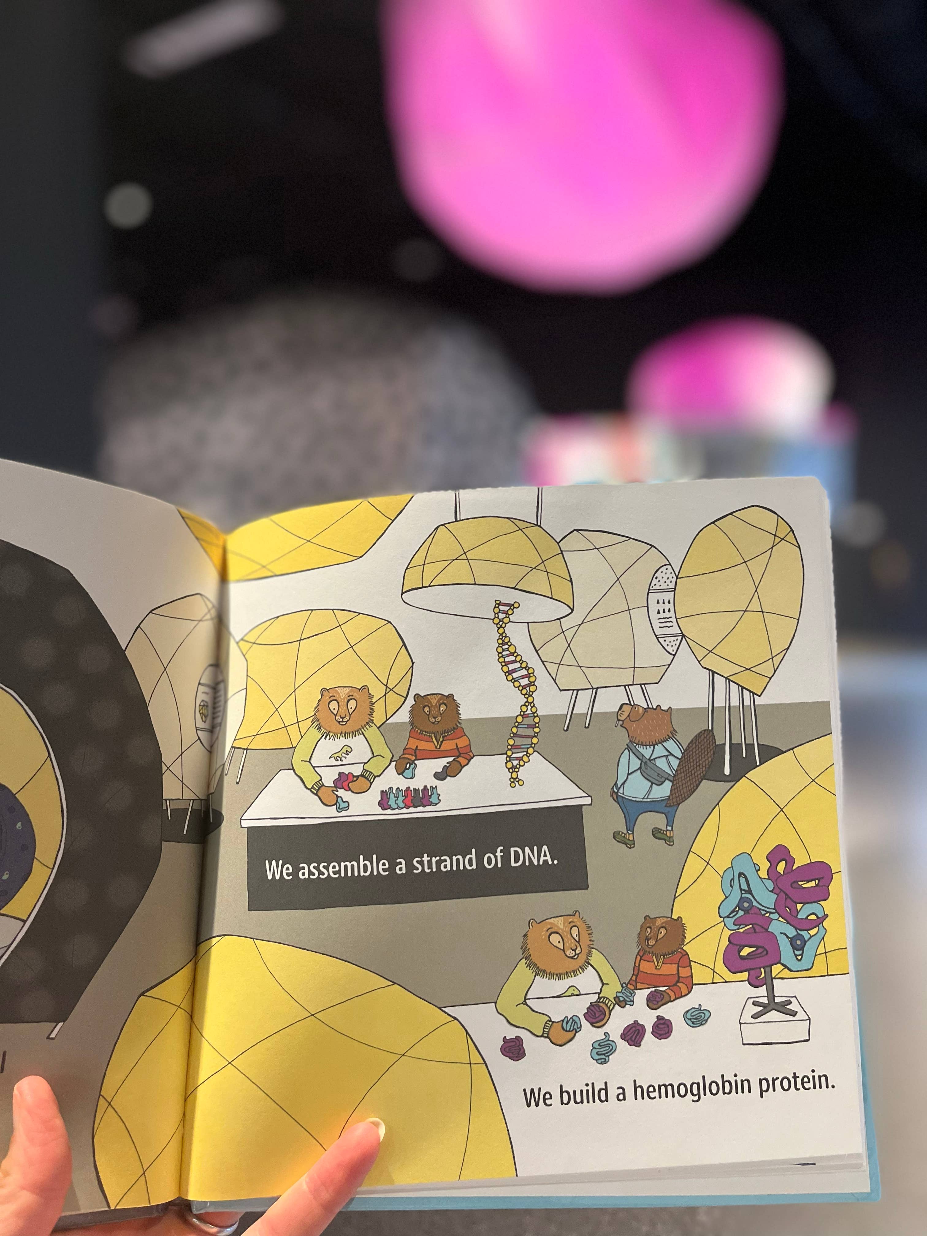 Sloe Gin Fizz - Wholesale Preschool Book (3-5) - Ann Arbor Adventures: Museum of Natural History Book4