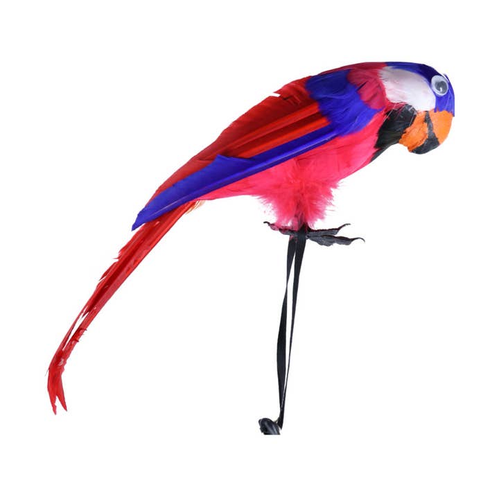 Pirate Parrot Headband, multi color for wholesale by Western Fashion