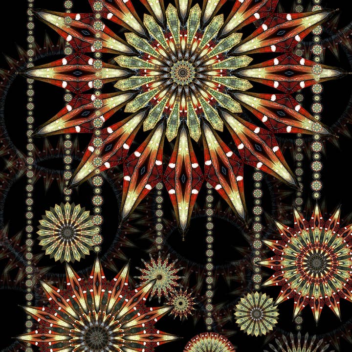 Ungerahmter limitierter Druck - Longan für den Großhandel von Lauri R. Dunn Fine Art Photography