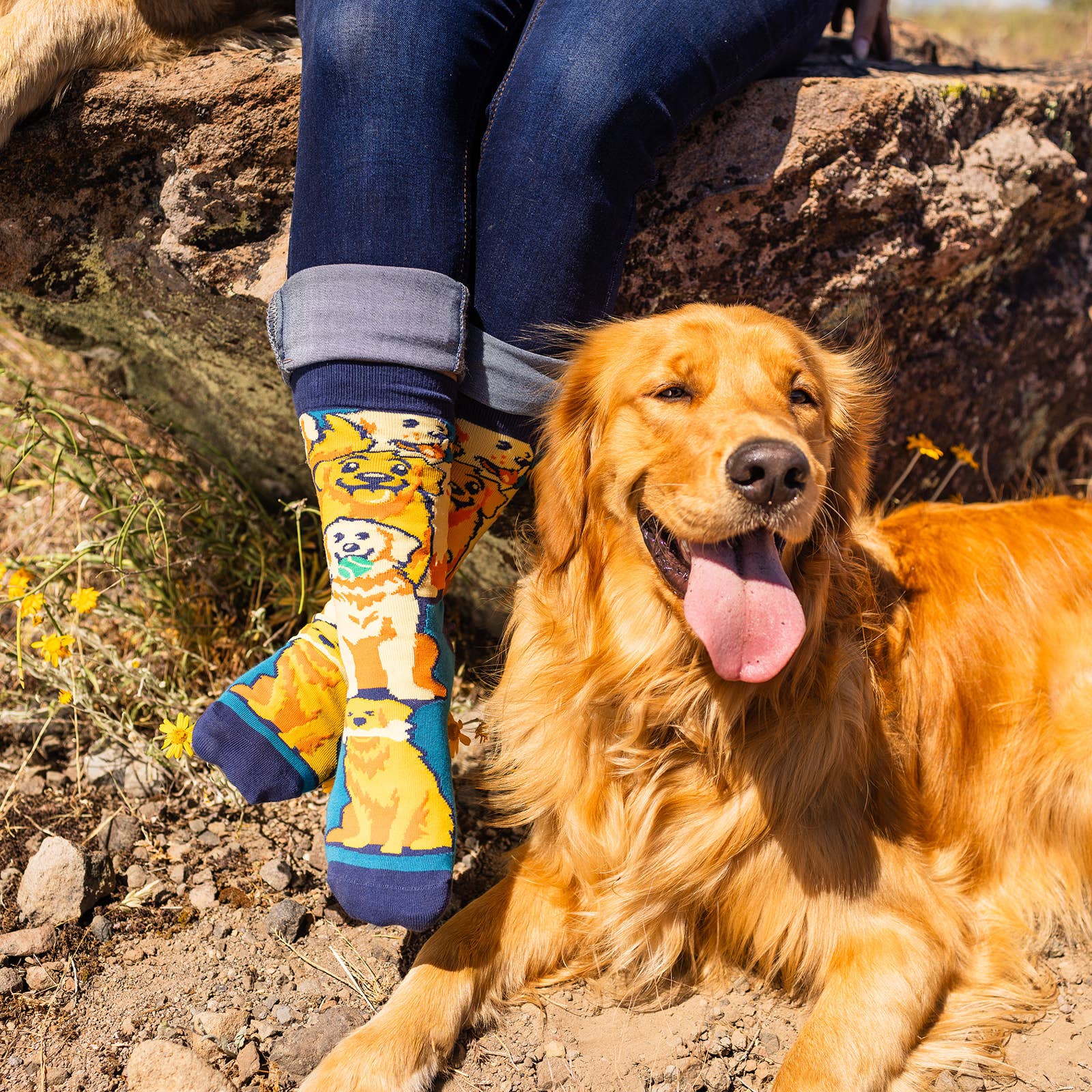 Lavley - Wholesale Socks - Unisex - Life Is Golden (Golden Retriever) Socks8