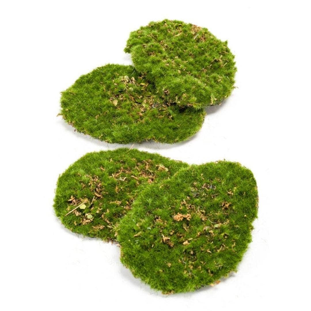 Oasis of Life – wholesale Artificial plant – Moss 4-Piece Set – Artificial Moss 16x12cm – Realistic Moss Sheets Made of High-Quality Plastic – Decorative Moss for Wall Design, Terrarium, DIY & Interiors – Maintenance-Free0