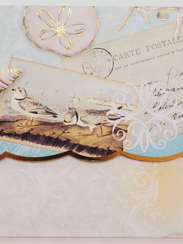 NEWSeaside embossed die-cut note card set NCP4016 for wholesale by Carol Wilson Fine Arts Inc./For Arts Sake