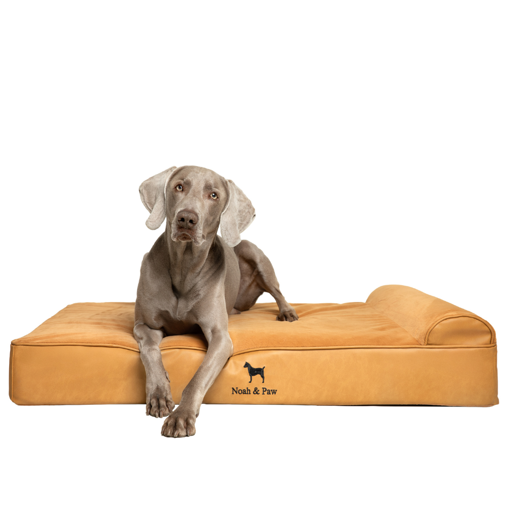 NOAH AND PAW LLC – Großhandel Haustierbett – Katze/Hund – Orthopädisches Hundebett aus Kunstleder mit Memory-Schaum und kühlendem Gel, klassischer Stil8