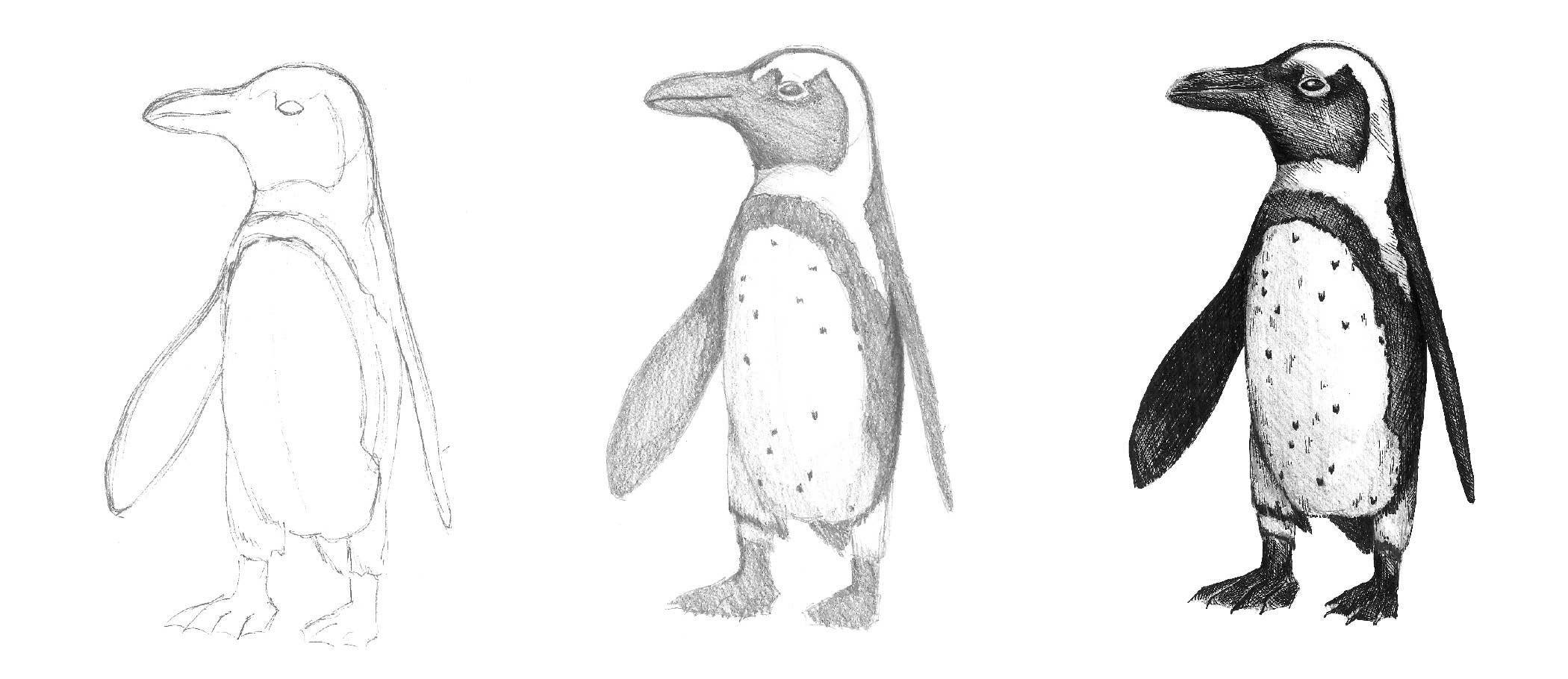 Faber-Castell / Creativity for Kids - Wholesale Art Set - Kids & Baby - Do Art Drawing & Sketching Beginner Art Set for Kids5