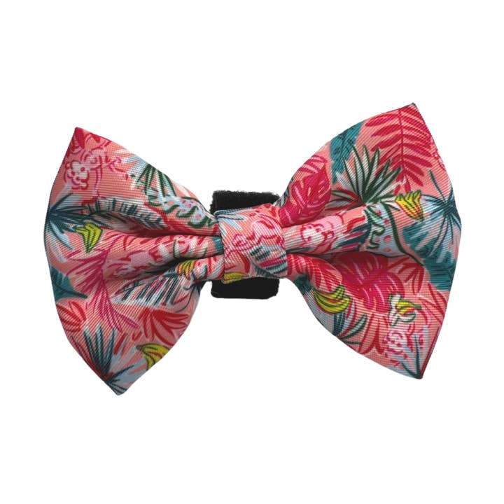 Bow - Jungle Fever Collection for wholesale by Woofs & Co