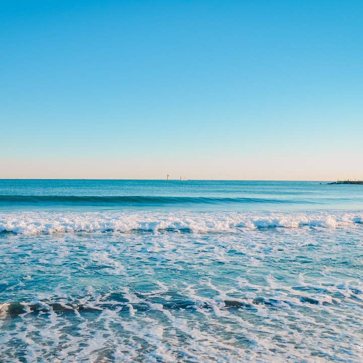 Spanje 8 voor wholesale door Autumn Carolynn Photography