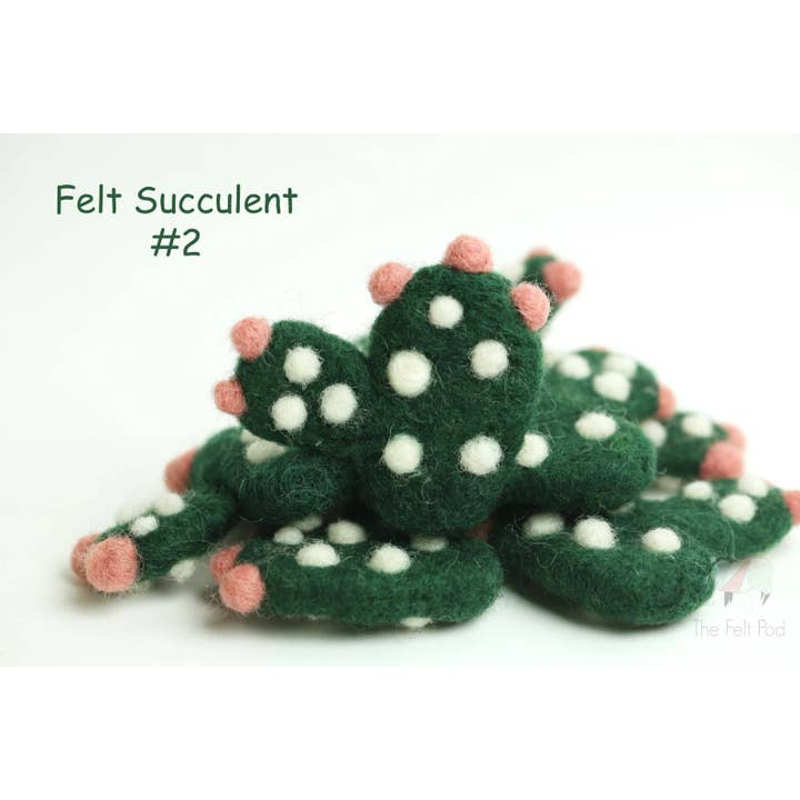 The Felt Pod - Wholesale Decorative Tabletop Object - Felt Succulent and Cactus 1