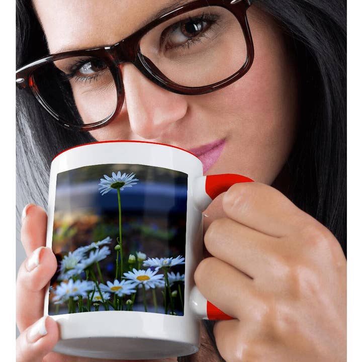 3dRose - Wholesale Coffee Mug - 3dRose, Savannah, Georgia. Cluster of daisy flowers at Forsyth Park, Mug1