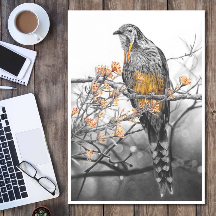 'Yellow Wattlebird' art print for wholesale by Fiona Francois Art