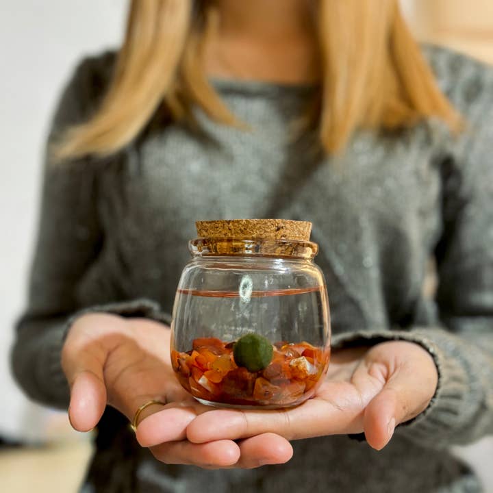 Moss Amigos | Moss Ball Terrariums - Wholesale Live Plant - Medium Marimo Moss Ball Terrarium with Carnelian Gemstones2