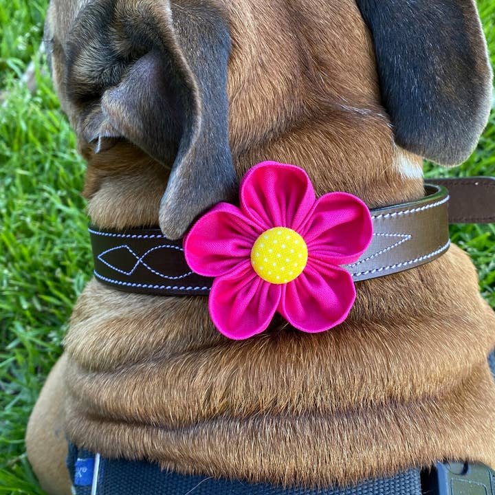 Hot Pink Collar Flower Pet Accessory for wholesale by Darcy's Canine Designs
