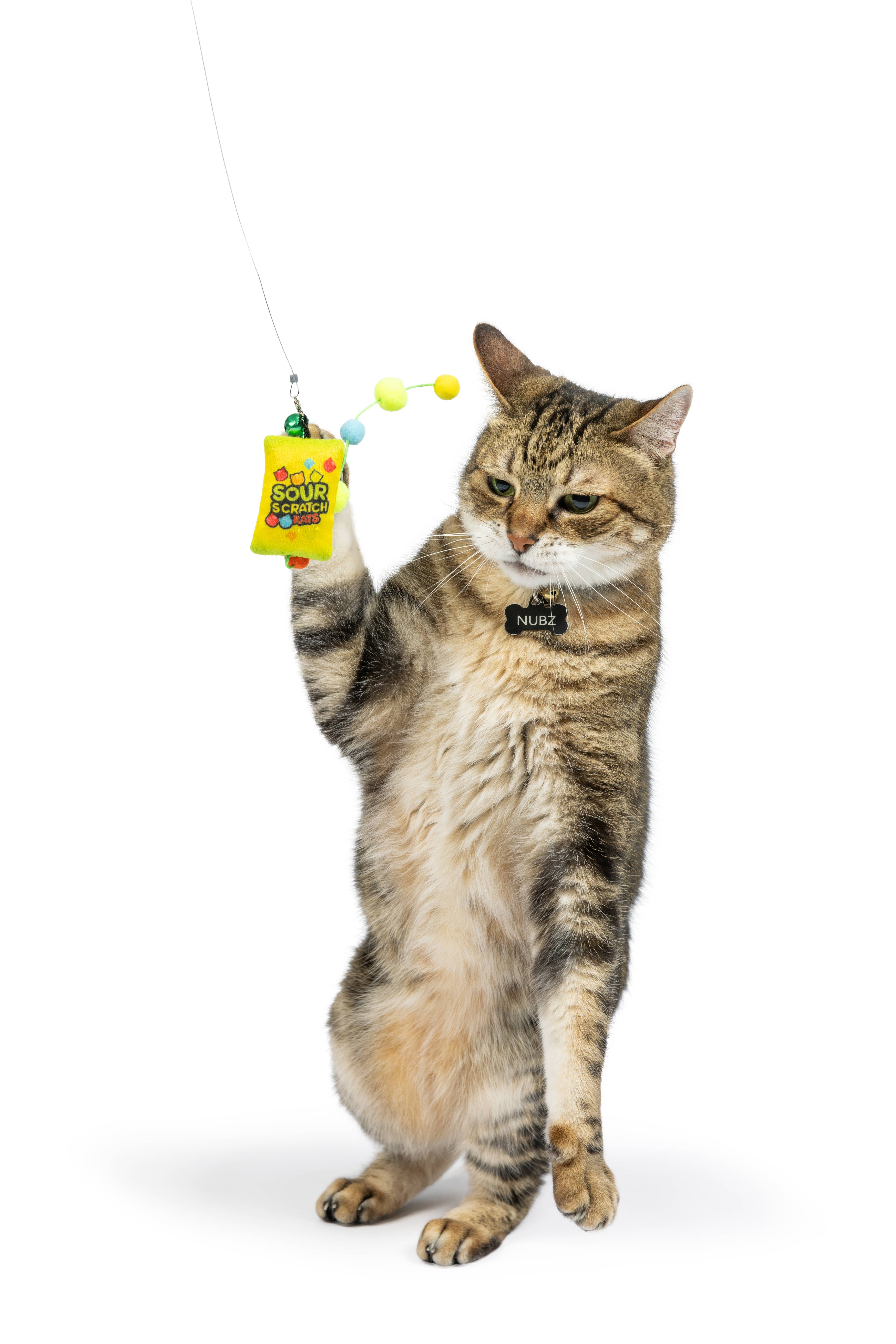 Huxley & Kent - Wholesale Pet Toy - Cat - Teaser Sour Scratch Wand Cat Toy1