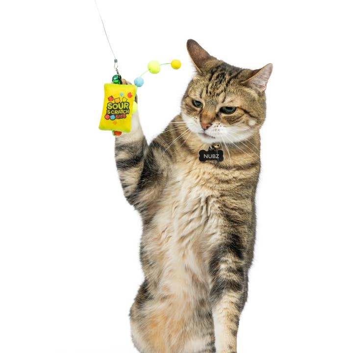 Huxley & Kent – wholesale Pet toy – Cat – Teaser Sour Scratch Wand Cat Toy1