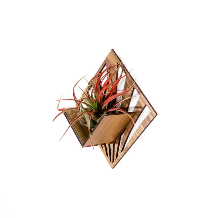 LIGHT RAZOR DESIGN STUDIO - Wholesale Wall planter - Air Plant Holder / Quadrate Wall Hanging Planter 213