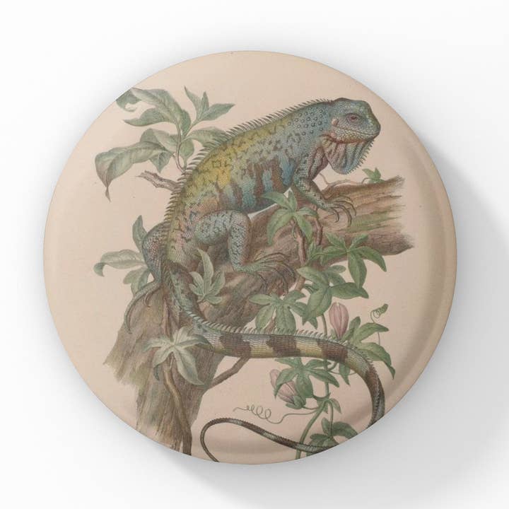 Iguana Pin-knap, Iguana Nøglering, Iguana Magnet for engroshandel hos NatureCuts