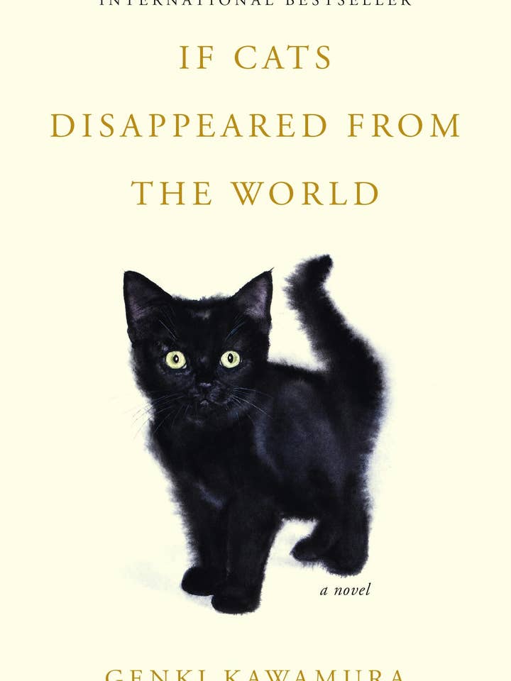 If Cats Disappeared From The World: A Novel for wholesale by Macmillan Publishers