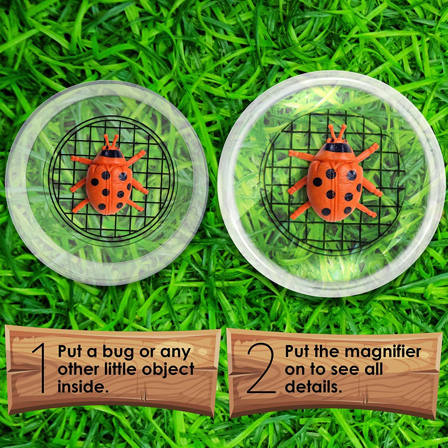 Bramble - Wholesale Toy Set - Kids - 12 Educational Bug Catcher Viewers with Magnifier2