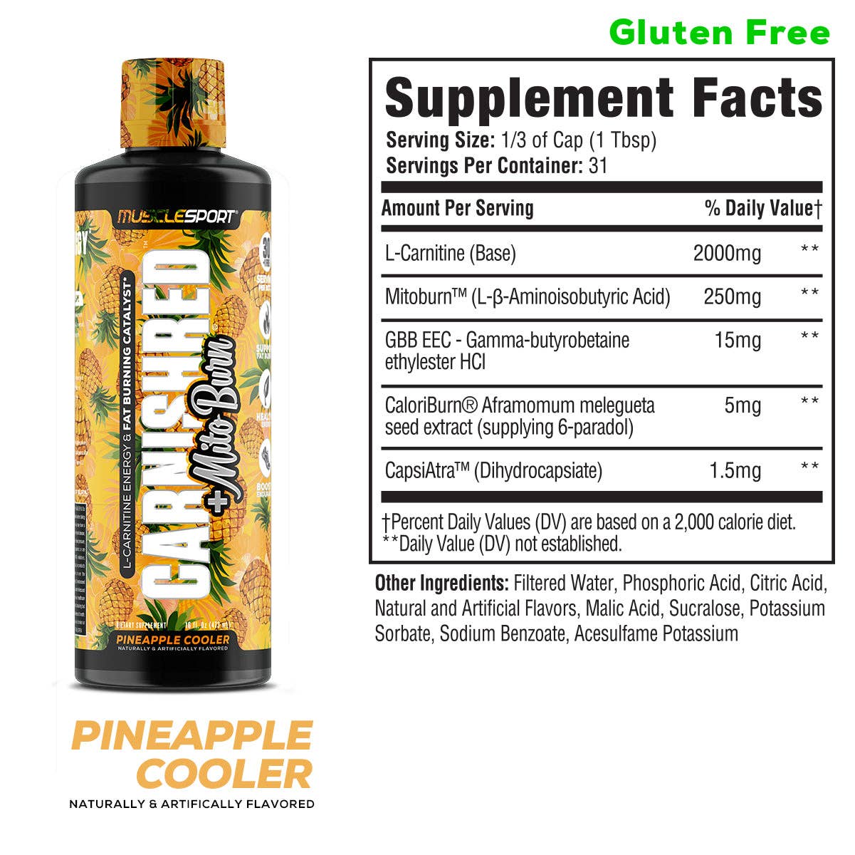 MuscleSport - Vente Supplément oral/vitamine - Liquide CarnishRed® + Mitoburn® 16 oz - Aide au métabolisme sans stimulation, - Catalyseur d'entraînement1