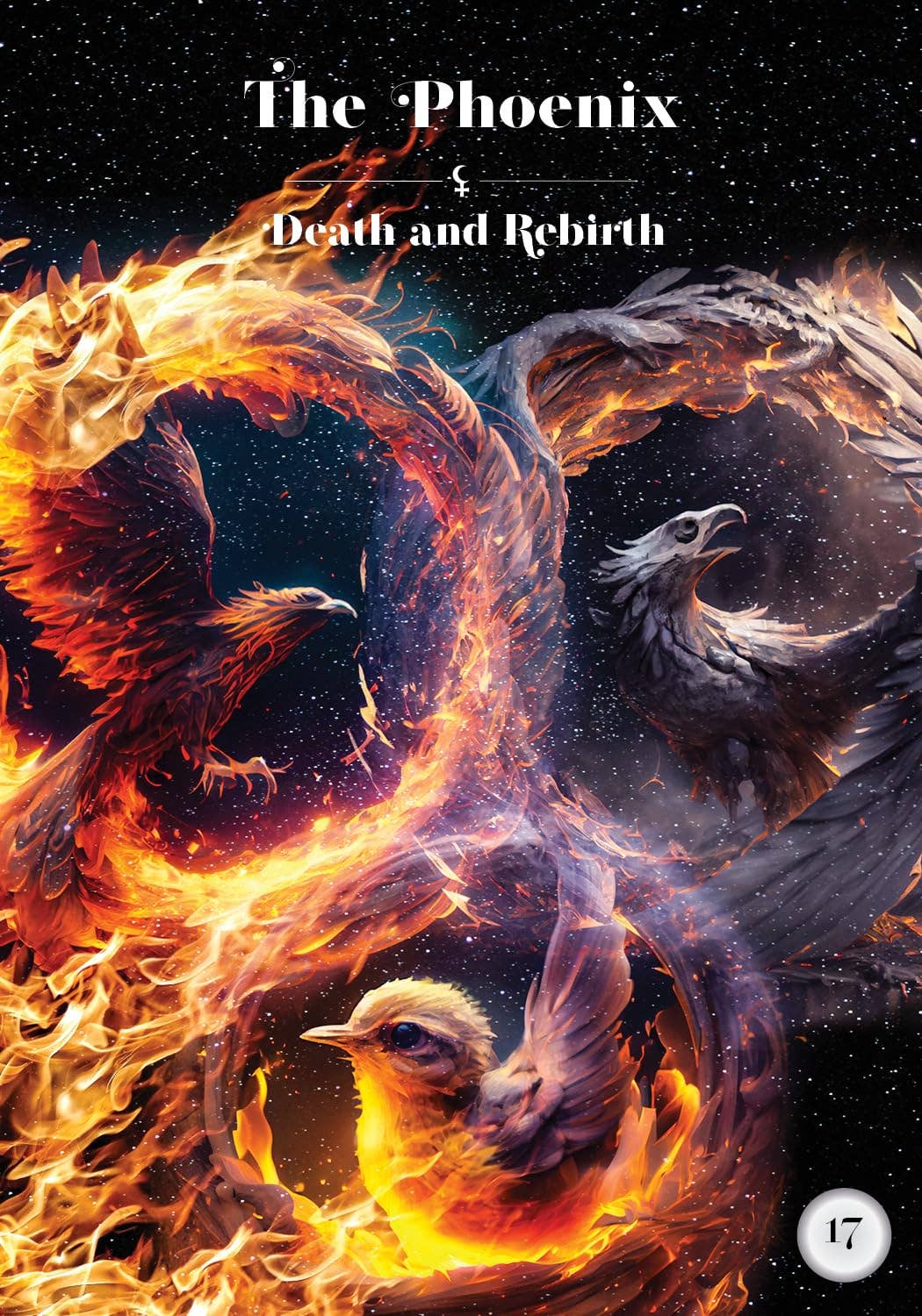 Cardshouse – Engroshandel Tarotkort – Sort måne Lilith Kosmisk alkymi Oracle-kort Hay House6