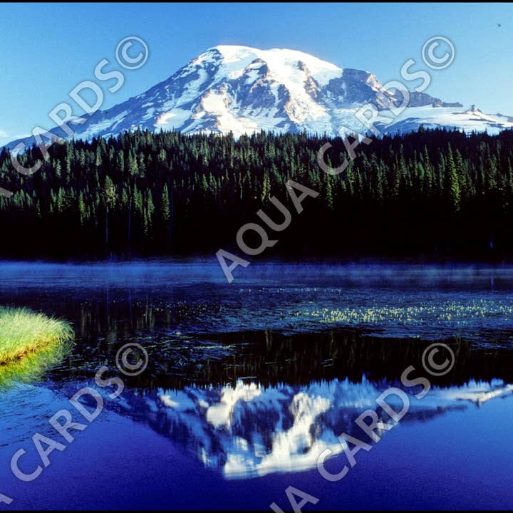 1219 - Rainier Vista for wholesale by Aqua Cards