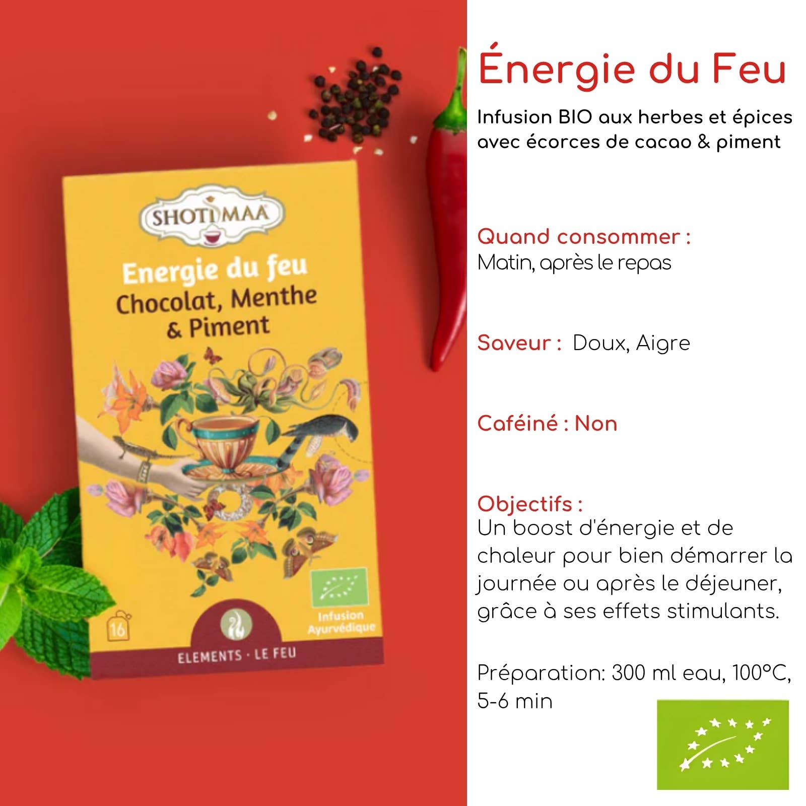 Zen'Arôme - Vente Thés santé/détox - Tisane Bio énergie du Feu - Chocolat, menthe et piment1