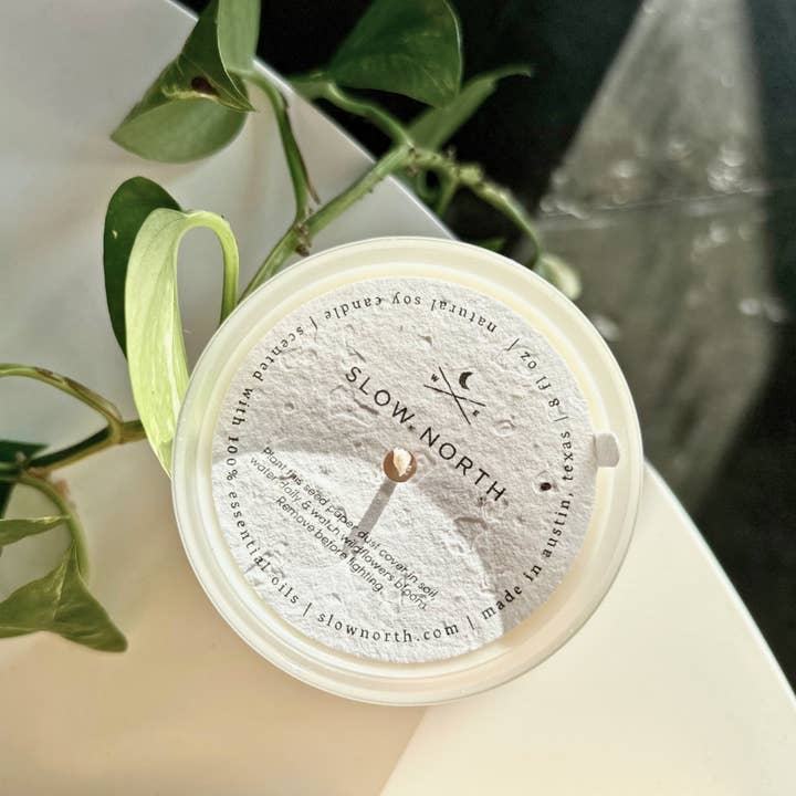 Slow North - Vente Bougie en bocal - Citronnelle + Mandarine - Bougie Non-Toxique, Huiles Essentielles
