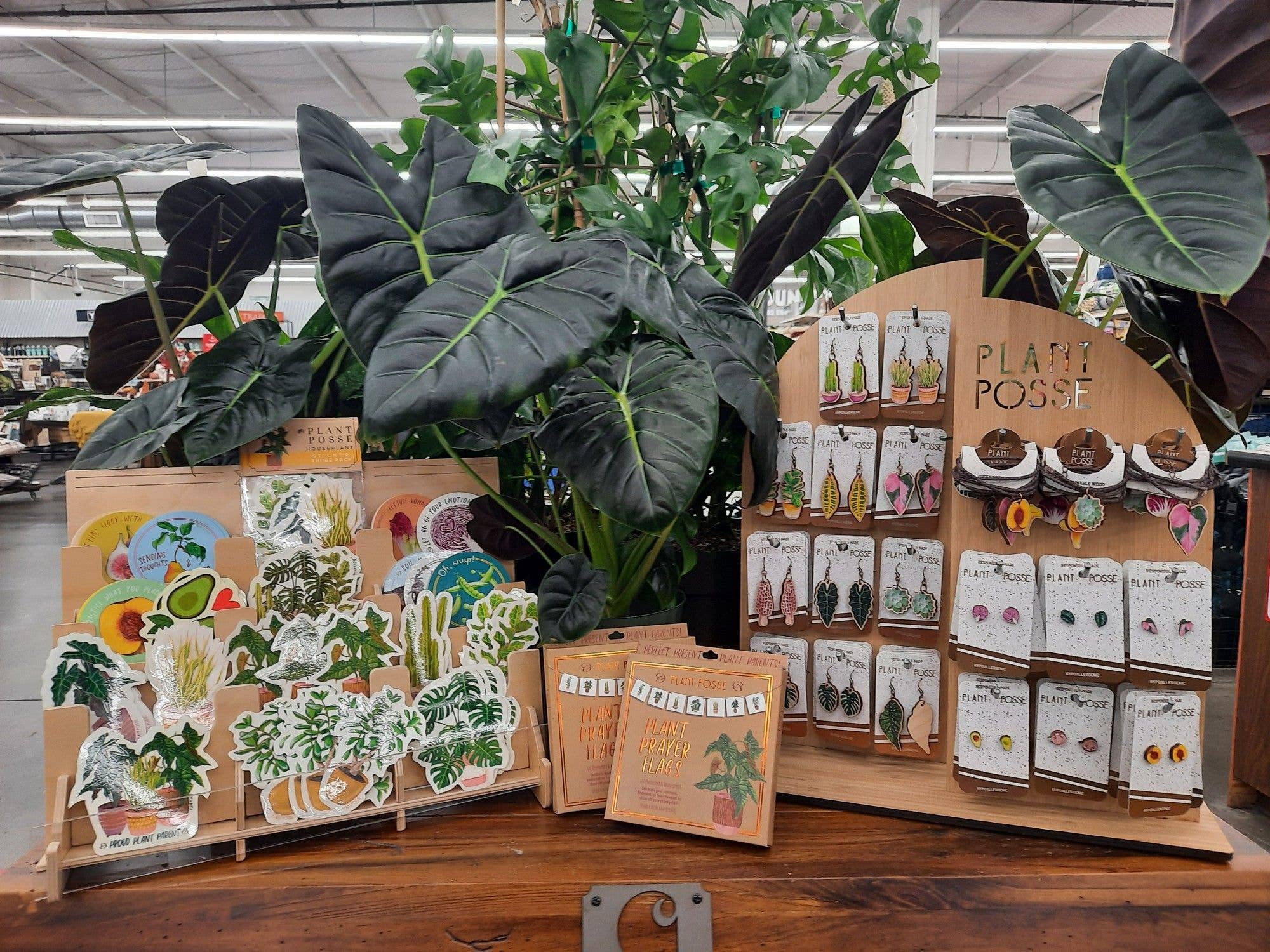 Plant Posse – wholesale Retailer display – Paper & novelty – Sticker Display3