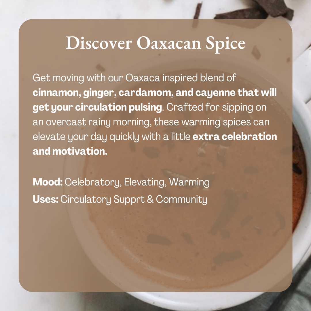 Ora Cacao - Wholesale Hot Cocoa Mix/Kit - Oaxacan Spice Cacao - Organic Ceremonial Chocolate5