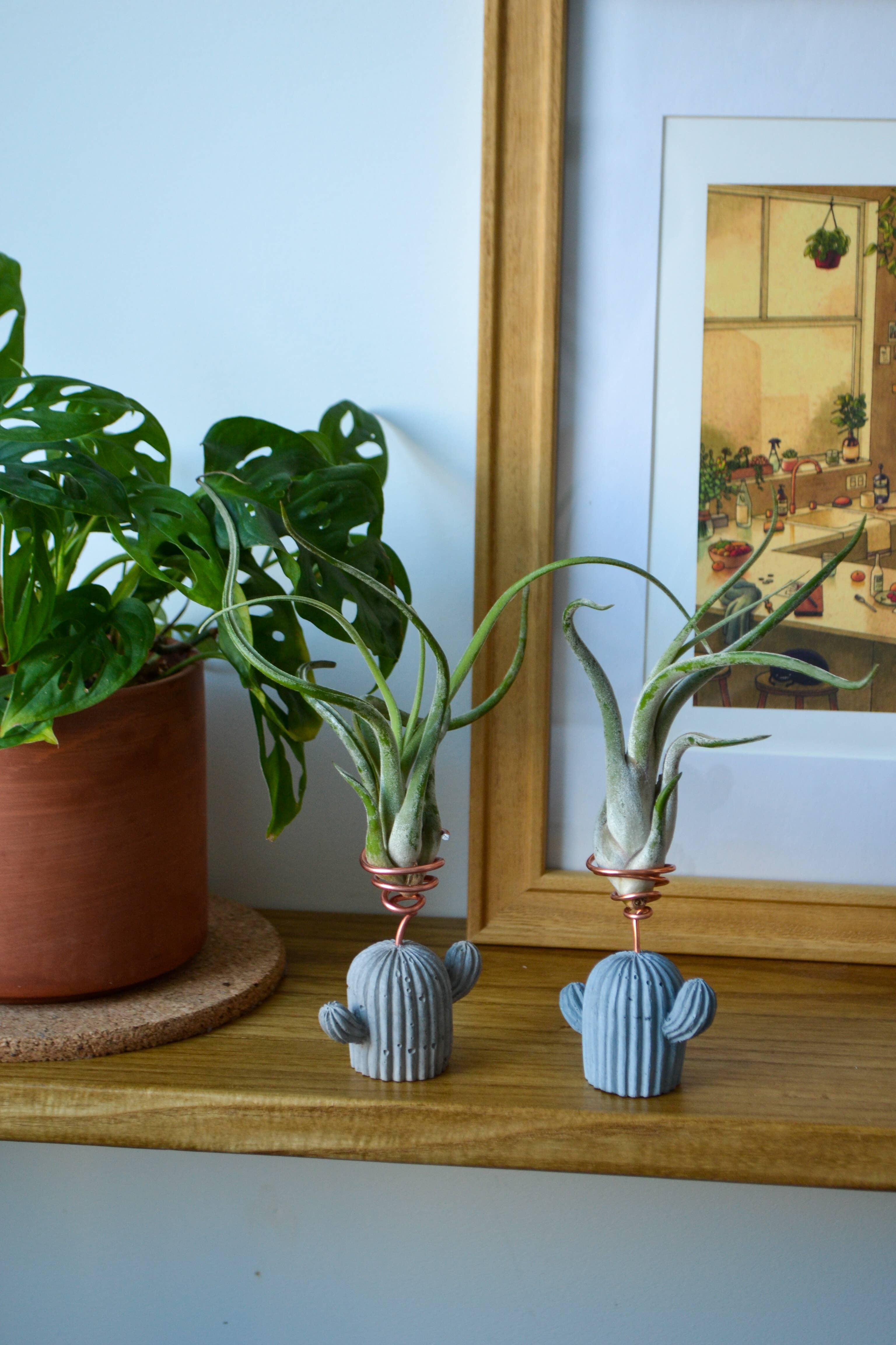 LindaMakess - Wholesale Plant Pot - Mini Cactus Holder0