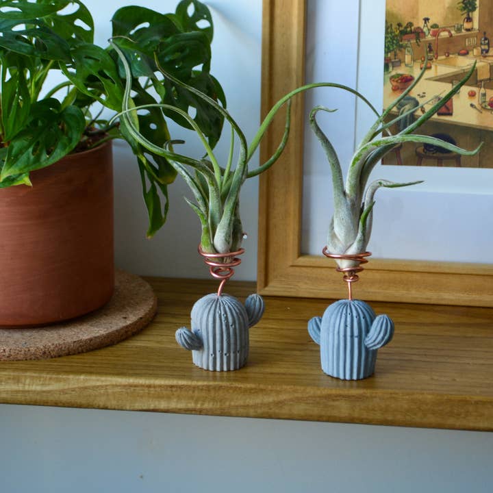 LindaMakess - Wholesale Plant Pot - Mini Cactus Holder0