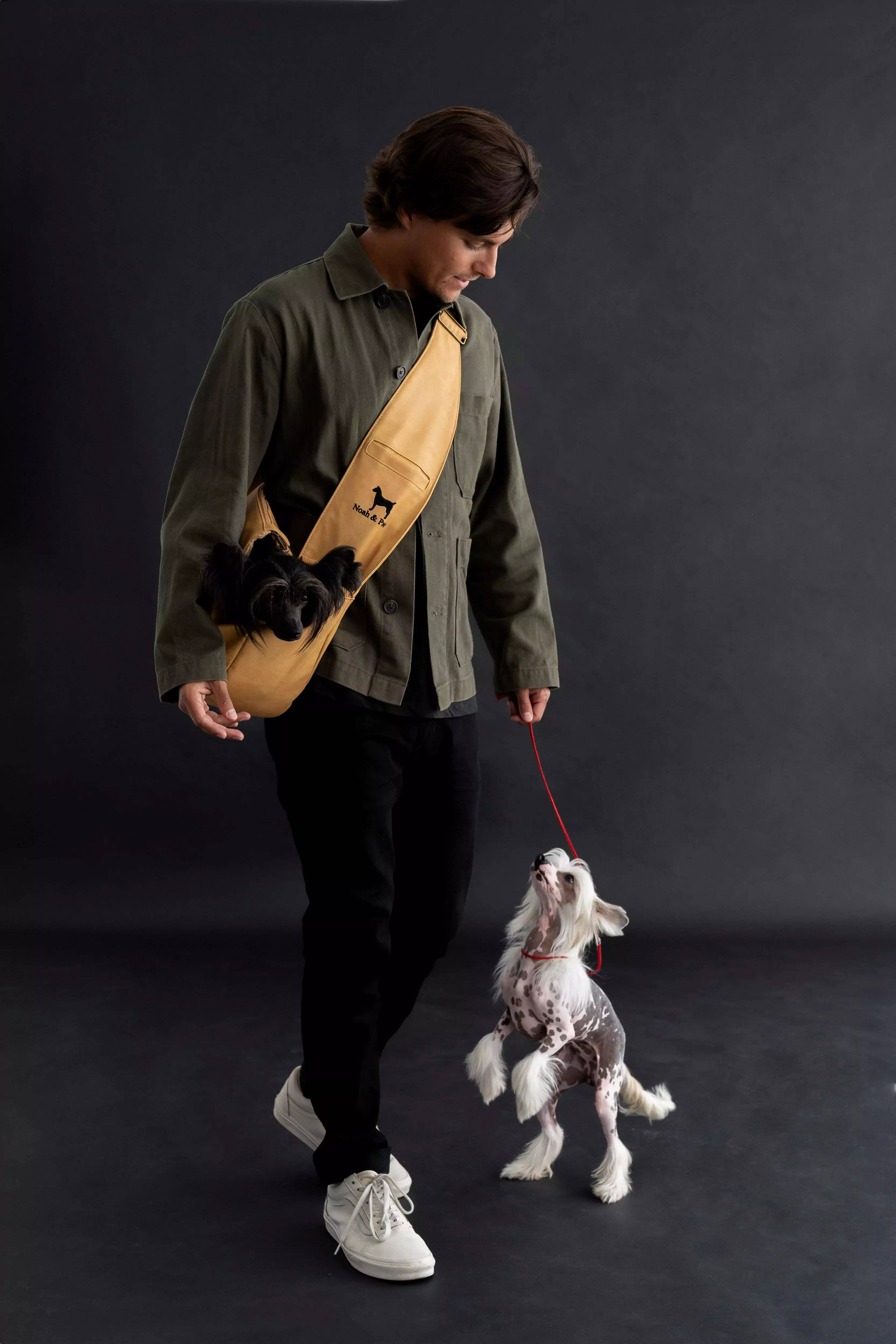 NOAH AND PAW LLC - Vente Caisse de transport – chat et chien - Porte-animal en bandoulière en cuir vegan avec triple sécurité28