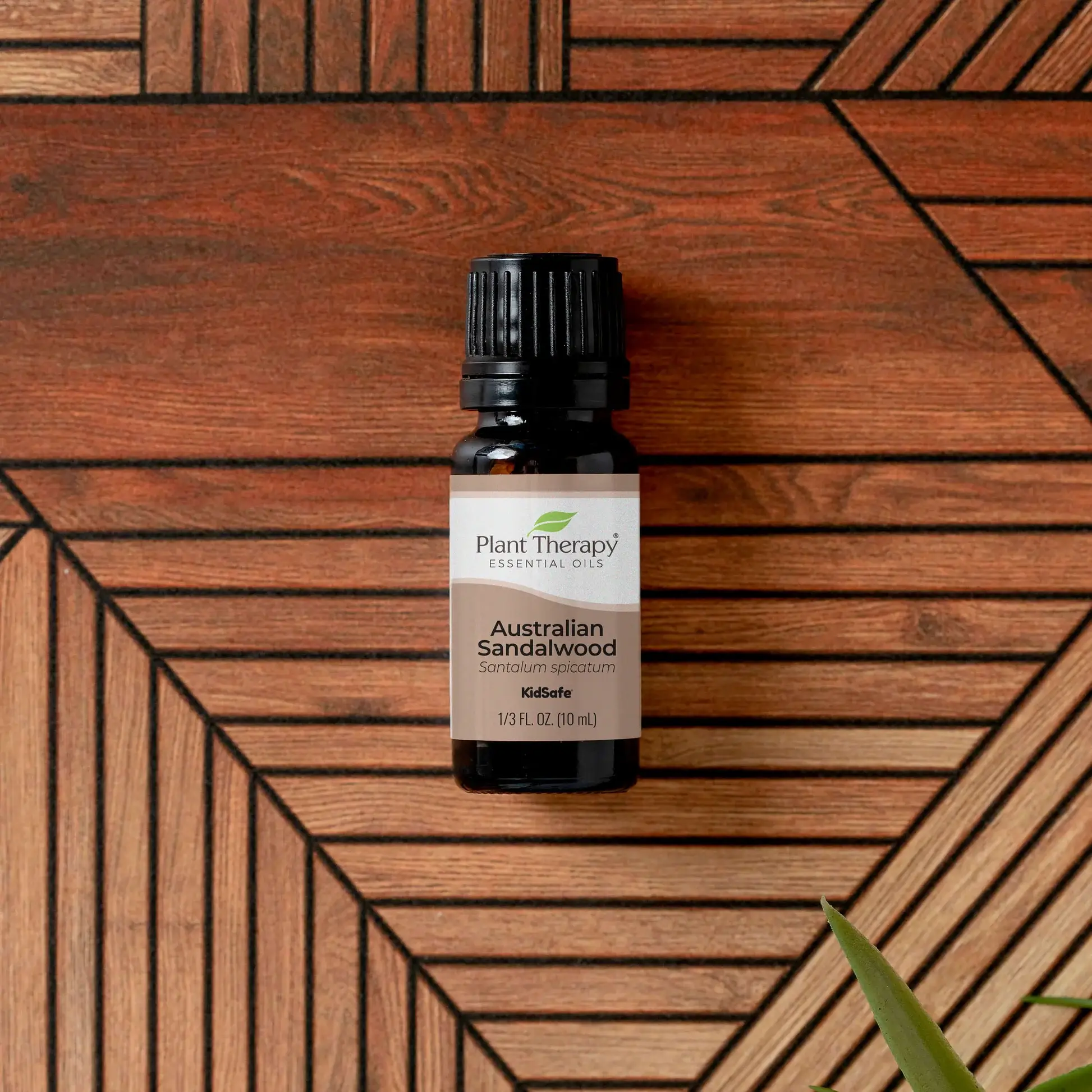 Plant Therapy - Wholesale Essential Oil - Australian Sandalwood Essential Oil 10 mL2