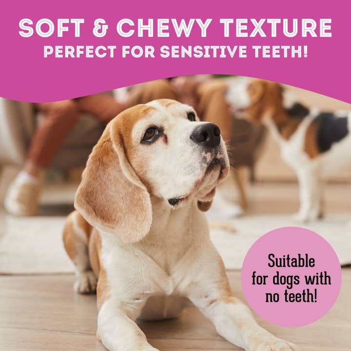 The Granville Island Pet Treatery (USA) - Wholesale Pet Treats - Dog - Lamb & Kelp Soft Dog Treats: Chewy & All-Natural5