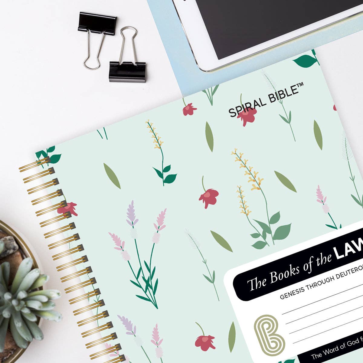 Spiral Bible - Wholesale Display Book - Spiral Bible™ - WEB - Genesis - Deuteronomy1
