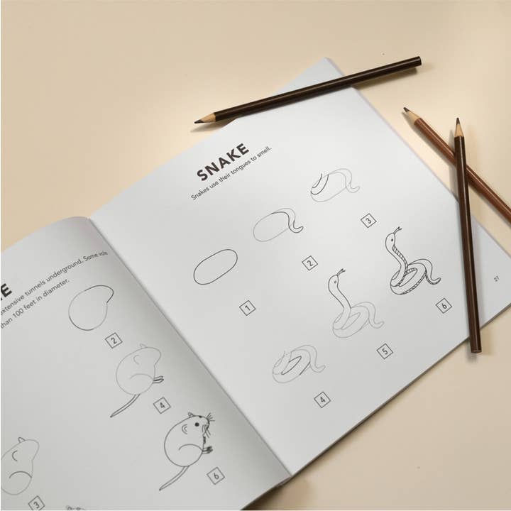 Penguin Random House LLC - Wholesale Painting/Drawing - Mushrooms & Woodland Creatures: How to Draw Books for Kids4