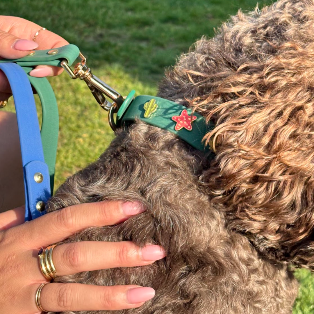 Furei Pets - Wholesale Pet Collar - Dog - Moodies Collar10