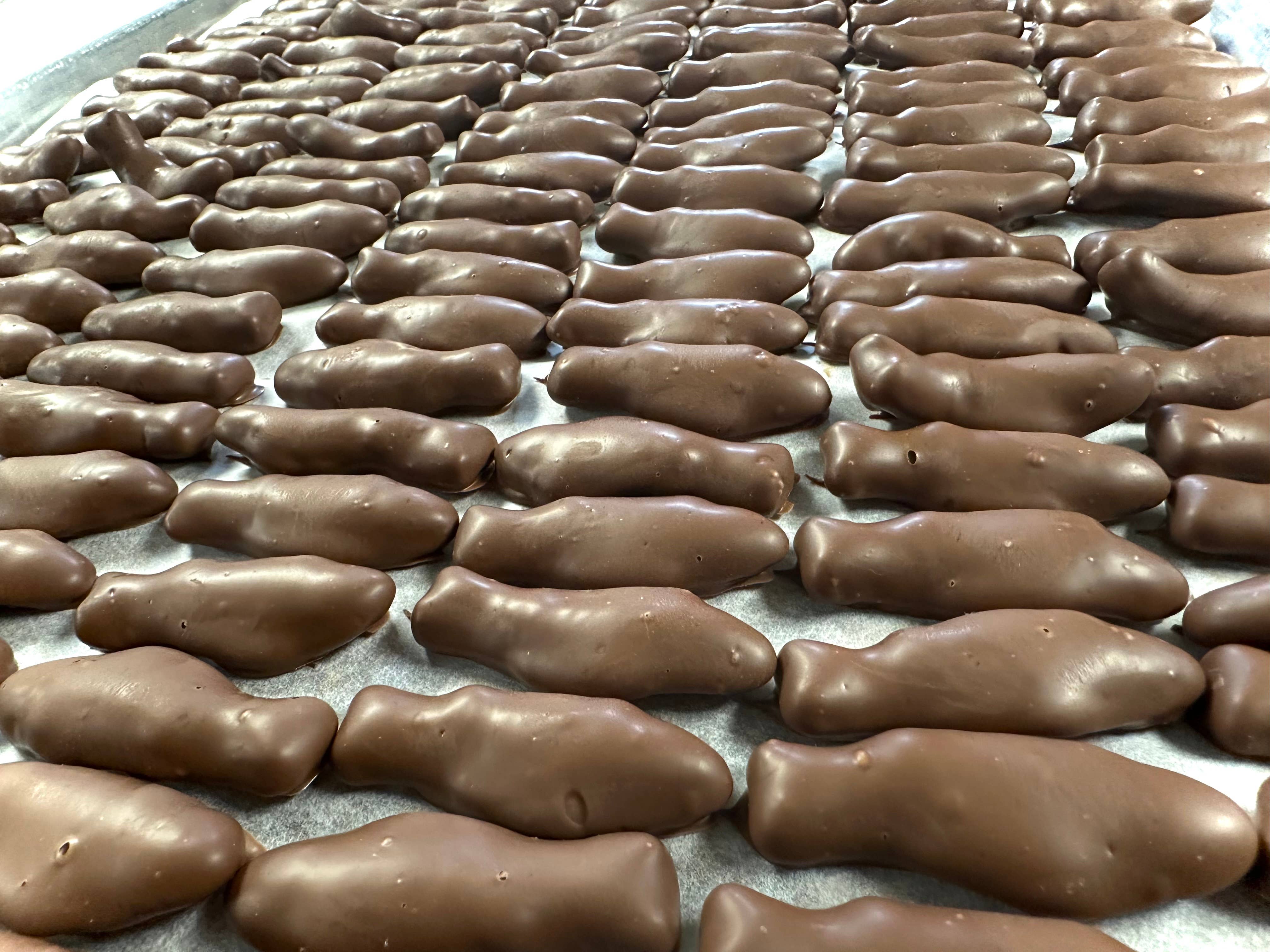 O'Shea's Candies Sweet Shop - Wholesale Chocolate Covered Sweets - Gourmet O'Swedish Fish Milk Chocolate Snack Pack5