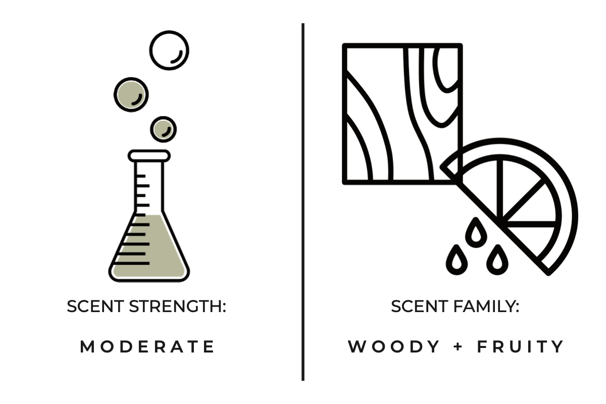 True Hue - Wholesale Pot/gevulde kaars - Twilight Mini-kaars3