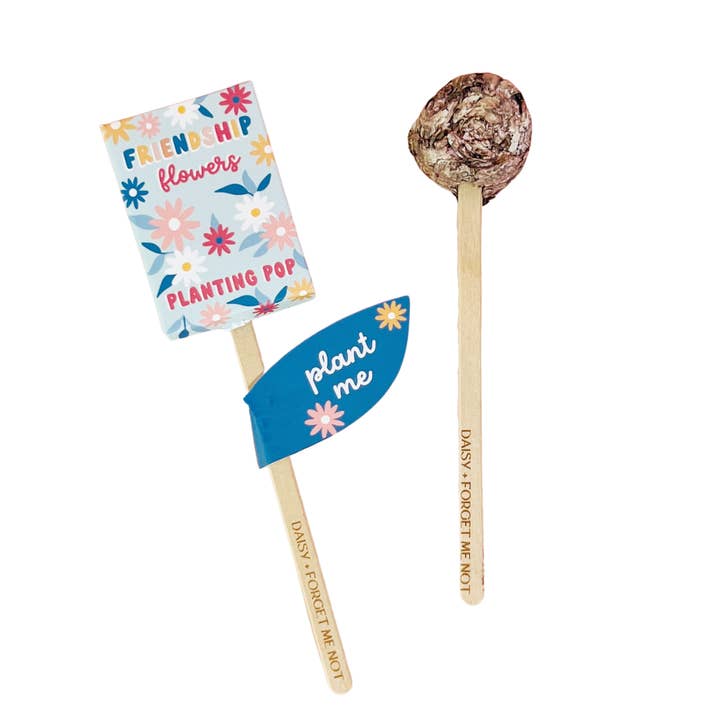 Sow the Magic - Wholesale Plant Seeds - Friendship Flowers Garden + Gift Seed Planting Pop