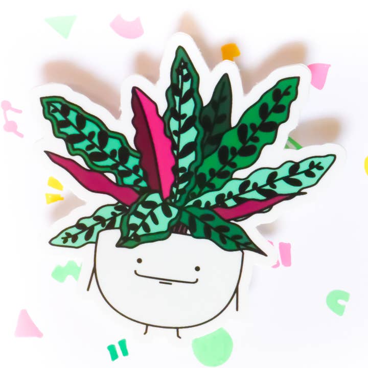 Home by Faith - Vendita all'ingrosso Adesivo - Adesivo in vinile per piante a sonagli Calathea0