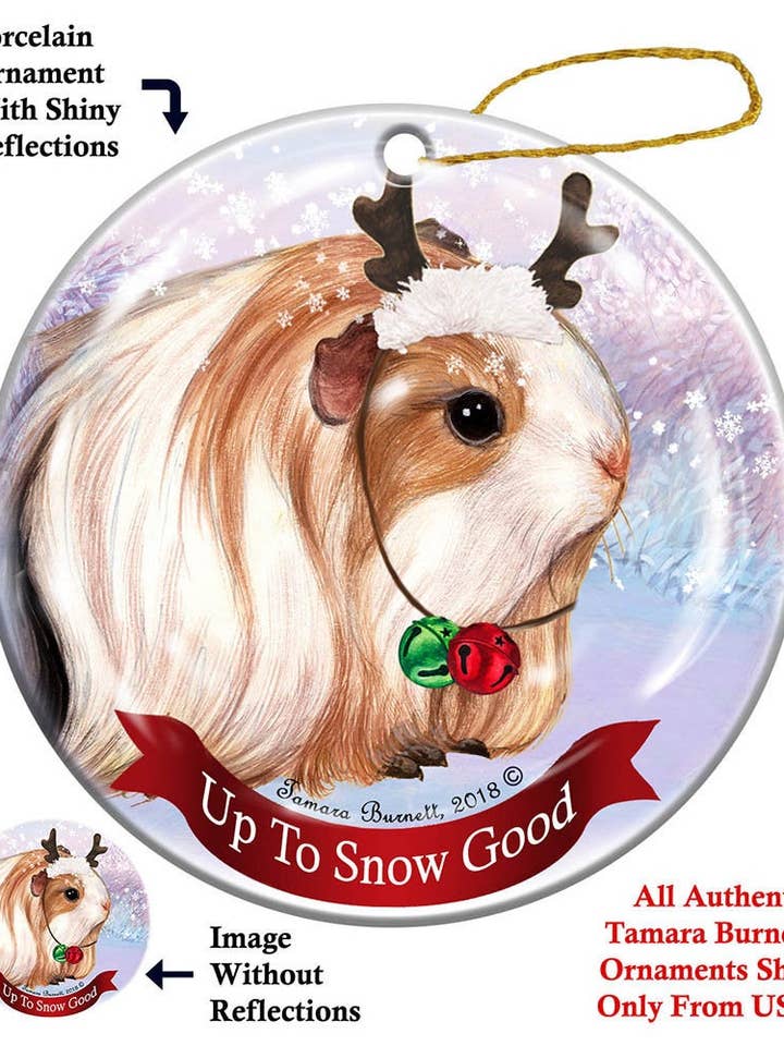 Presentes para animais de estimação de férias Ornamento de Natal de seda por atacado de Pet Gifts USA, LLC