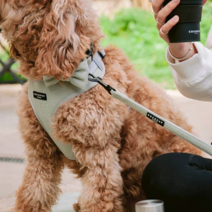 Cocopup London - Wholesale Pet Leash - Dog - Tweed Lead - Sage1