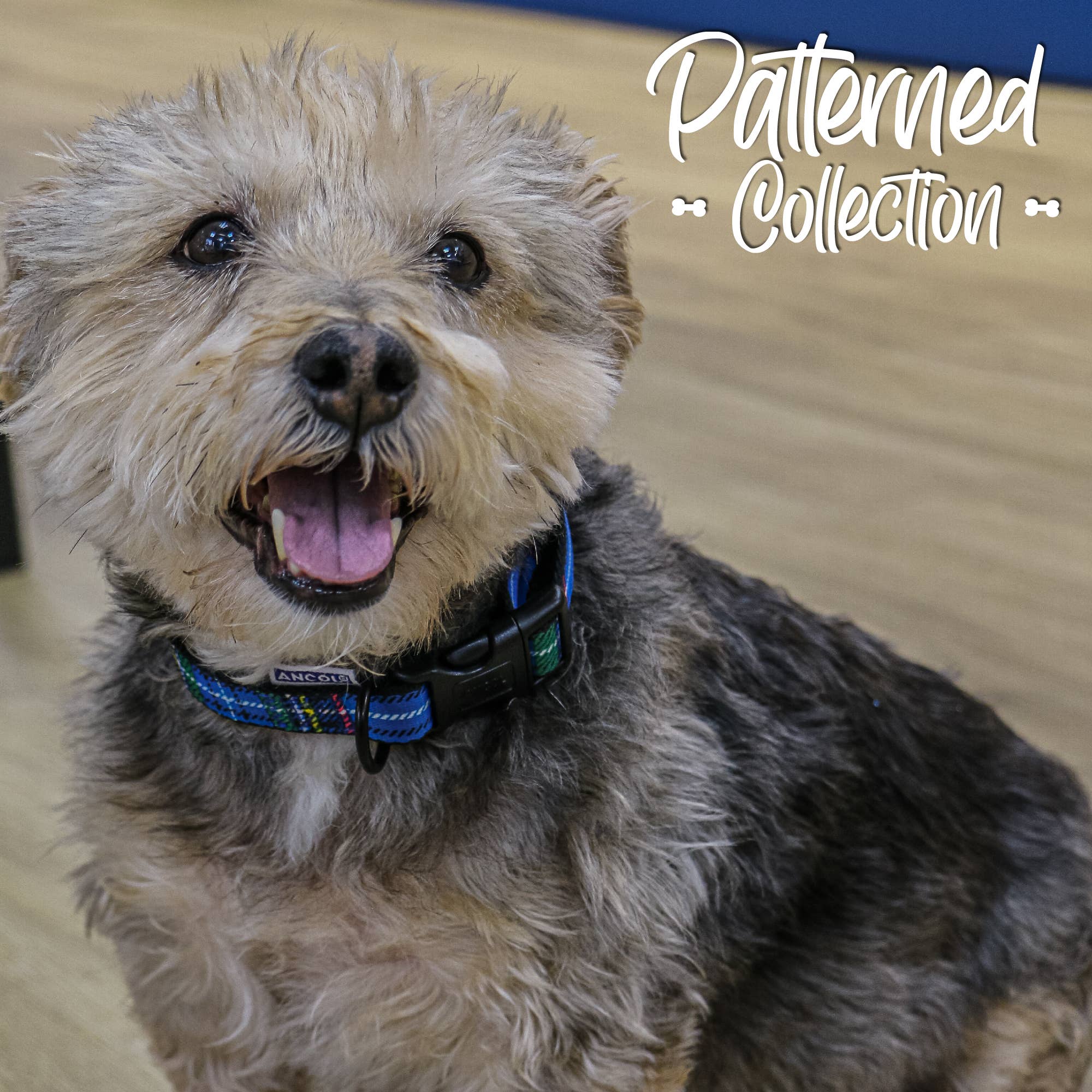 Ancol Pet Products Ltd – Engroshandel Halsbånd - Hund – Mønstret Kollektion Krave: Tartan3