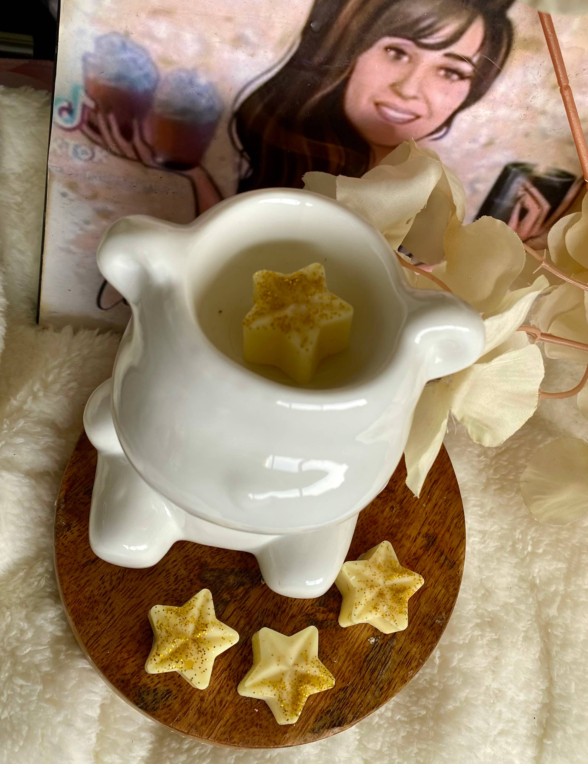 Les folies de Nicole - Wholesale Wax Melt - 🌟Falling Stars Freshness1