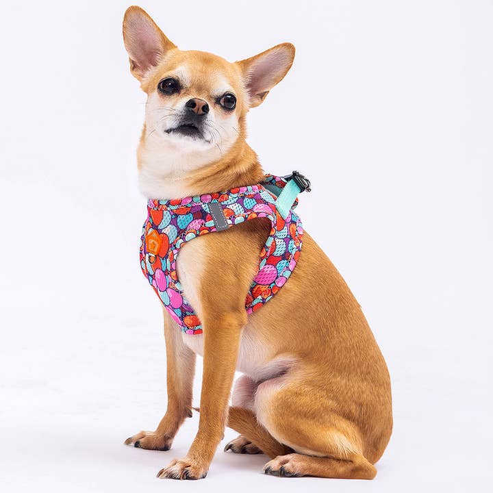 Balloons Air-Mesh - Harness für den Großhandel von WEKKOPET