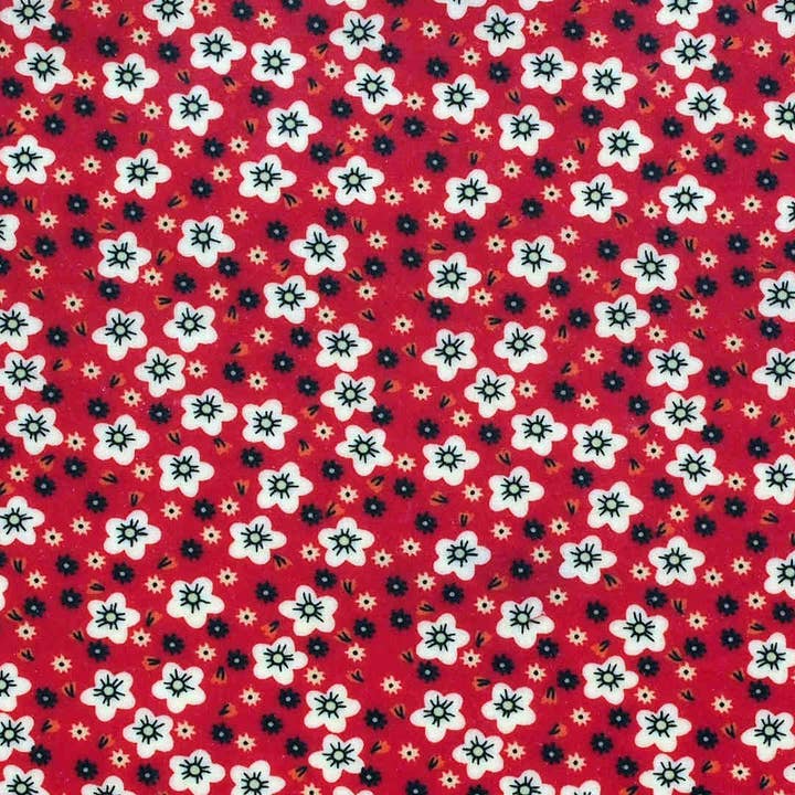 WRAP largo: O indispensável - Flores dos campos - sma por atacado de L' Abeille qui emballe