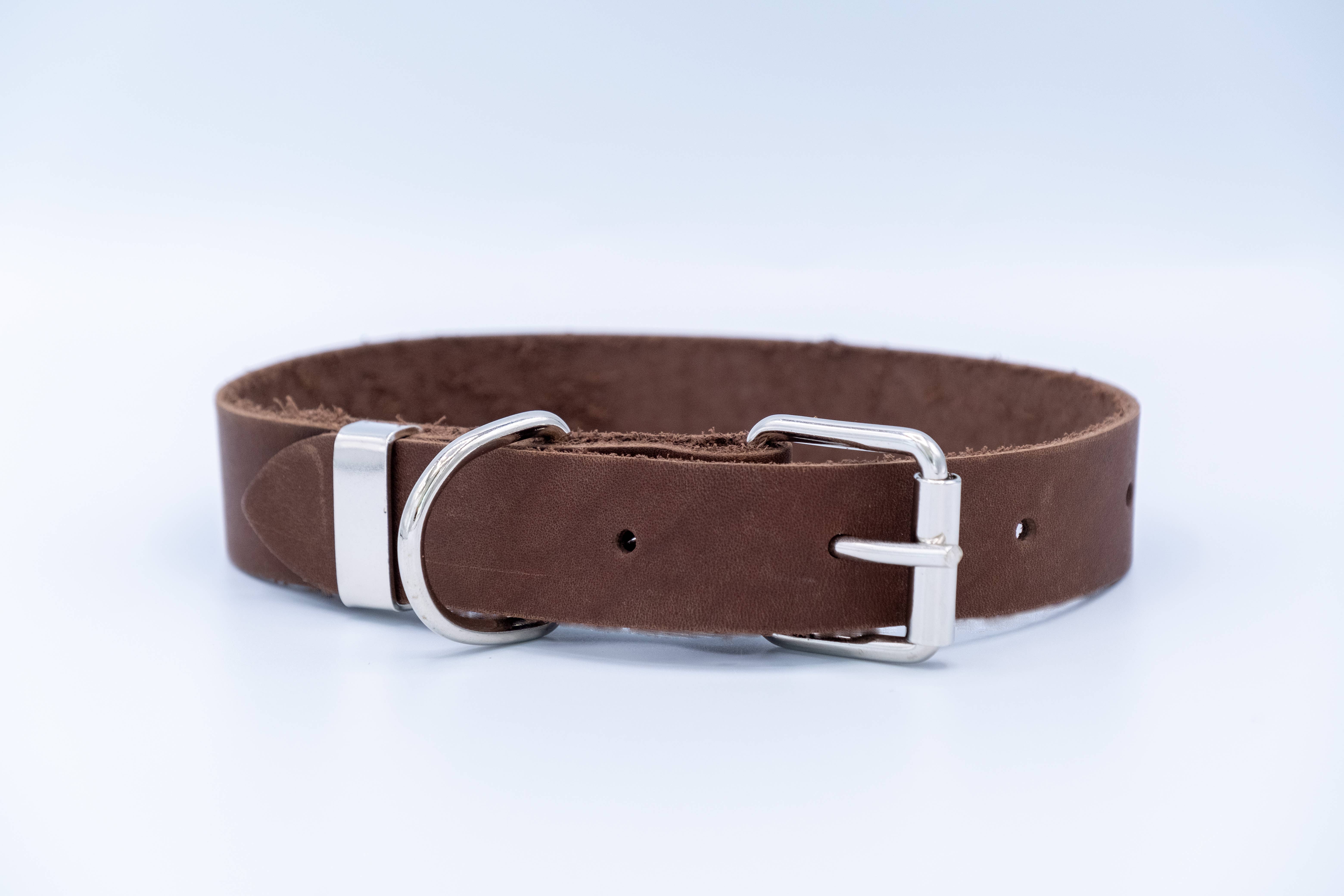 Euro-Dog Collars and Leads – Großhandel Haustierhalsband – Hund – Lederhundehalsband Weicher Zen-Stil Stahlverschluss9